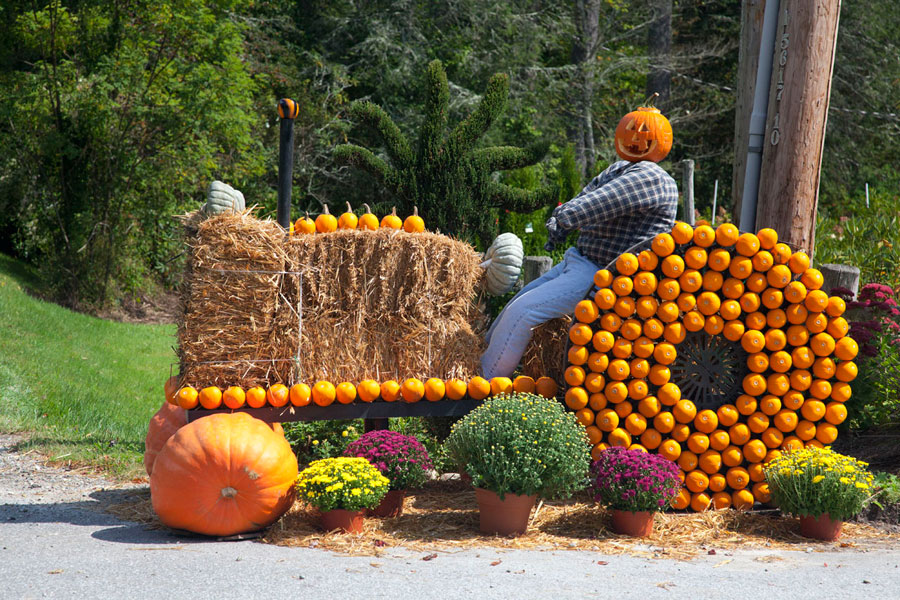 Fall Tractor