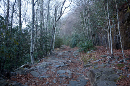 Whiteside Mountain Trail Whiteside Mountain Trail