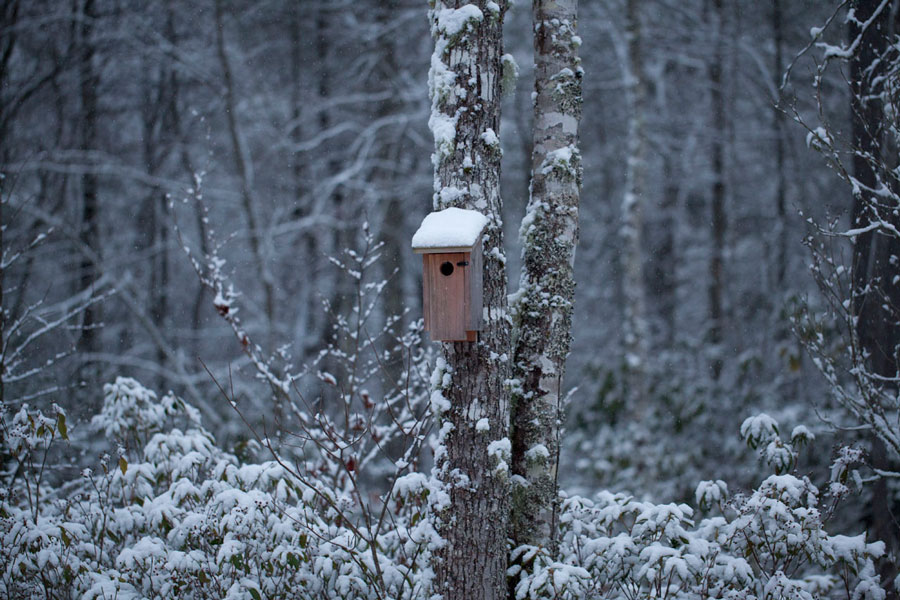 Winter Scene, Sapphire, NC Winter Scene, Sapphire, NC